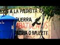 bbc de londres: grupo paramilitar armado que apoya a chávez