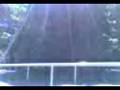 videos de Vica y Arita