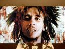 roulio marley ! roulio marley !