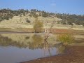 waterski_in_Horesshoe_Lake.avi