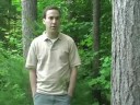 Chuck Hersey UNHCE Forester Sullivan County