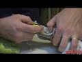 Beginners Taxidermy - Preparing for Mounting Part 1