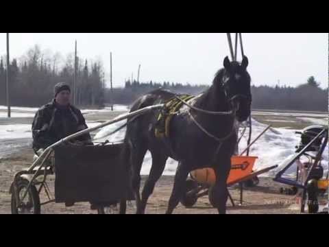 horse racing
