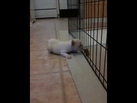 how to treat 4 month old baby