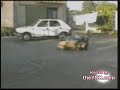 Pas commode le mouton