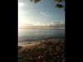 Beach trip with Barklie