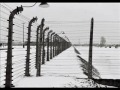 Auschwitz-Birkenau