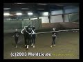 Voltigieren, go to (more)