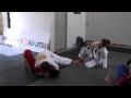 Fenom Project: Leticia Ribeiro Seminar (06/2010)