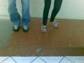 videos de Nicolle e Marcelo no sapateado