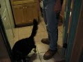 Baxter the Needy