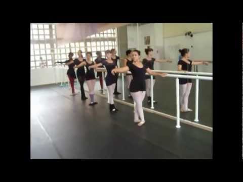 Barra Pliés - Método Royal Ballet 5°grau
