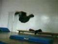 Learning-Backflip-by