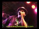 GOG - HUTUZ 2007