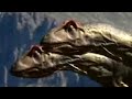 Dinosaur mating rituals - BBC