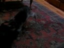 Suzy and Stella playing