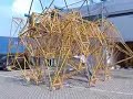 Animaris Rhinoceros Transport Animaris Rhinoceros Transport
