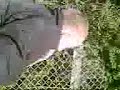 Br�drene Br�k - Triple Opkast!