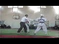 TAEKWONDO CASTAGNA LUCA (Twister) 11 TAEKWONDO CASTAGNA LUCA (Twister) 11