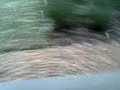 Chuva de Granizo no Icex