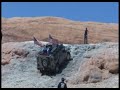 H1 Hummer on Potato Salad Hill