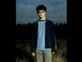 videos de Wake Me Up When September Ends (Chipmunk)