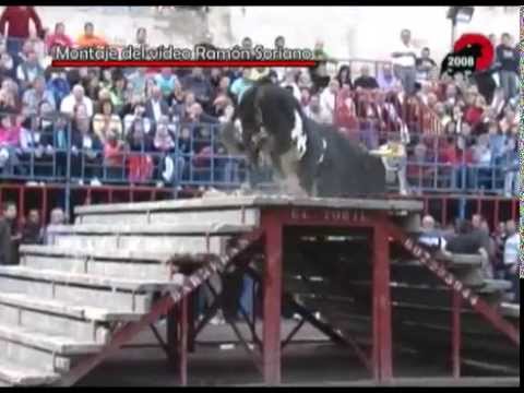 raton - Montaje de Ramón Soriano sobre el toro Ratón de Gregorio de Jesús.