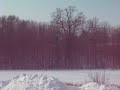 Winter In MN