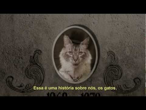 Imagem de Amostra do You Tube