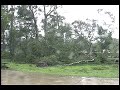 Hurricane Gustav Tree Fall