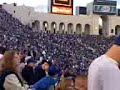 packed coliseum packed coliseum