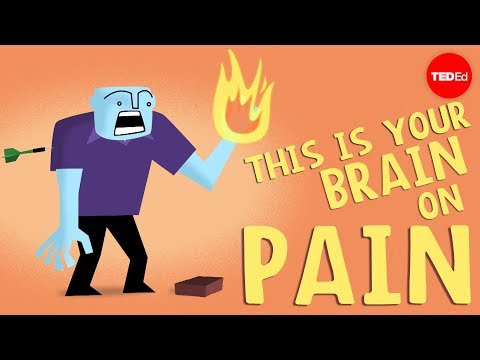 Lesson 12. This Is Your Brain on Pain Thumbnail