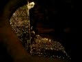 Lights at the River in the Museum
