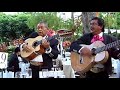 trios me voy pal pueblo