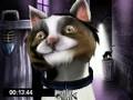 videos de General Henry