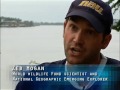 national geographic wild chronicles : giant catfish