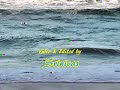Ocean City - Councell Farm - Sandy Point beach, MD, US - Picture