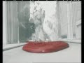 http://www.ideenverteiler.deNicely made new smirnoff signature heritage tv spot that shows the adventurous history of the brand.Made by JWT New York