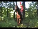 Little Red Riding Hood & Stallion, Fantasy Forest Ride
