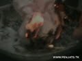 Bomba humo Bomba humo