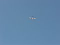 easy glider rool