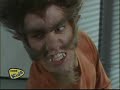 Werewolves of Pleasantville