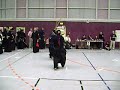 Kendo W�rzburg Tengu V2