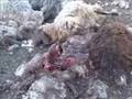 Qendil efter Turkiska flygattacker - BeyanTv