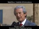 Luchetti