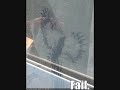 FAIL-Battletoads NES Theme