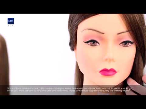 Tutorial testastudio labor