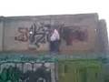 yacko y cryman