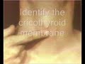 Transtracheal Injection Video Clip