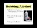How to Get Rid of Bed Bugs